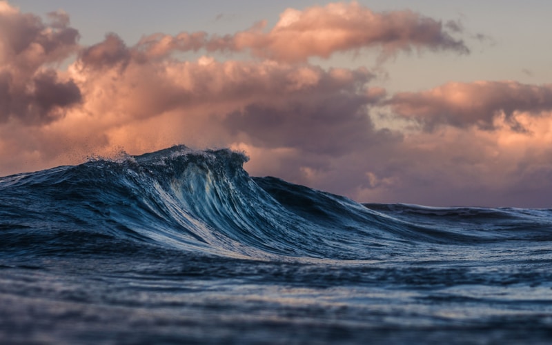 James Bay Inner Harbour view