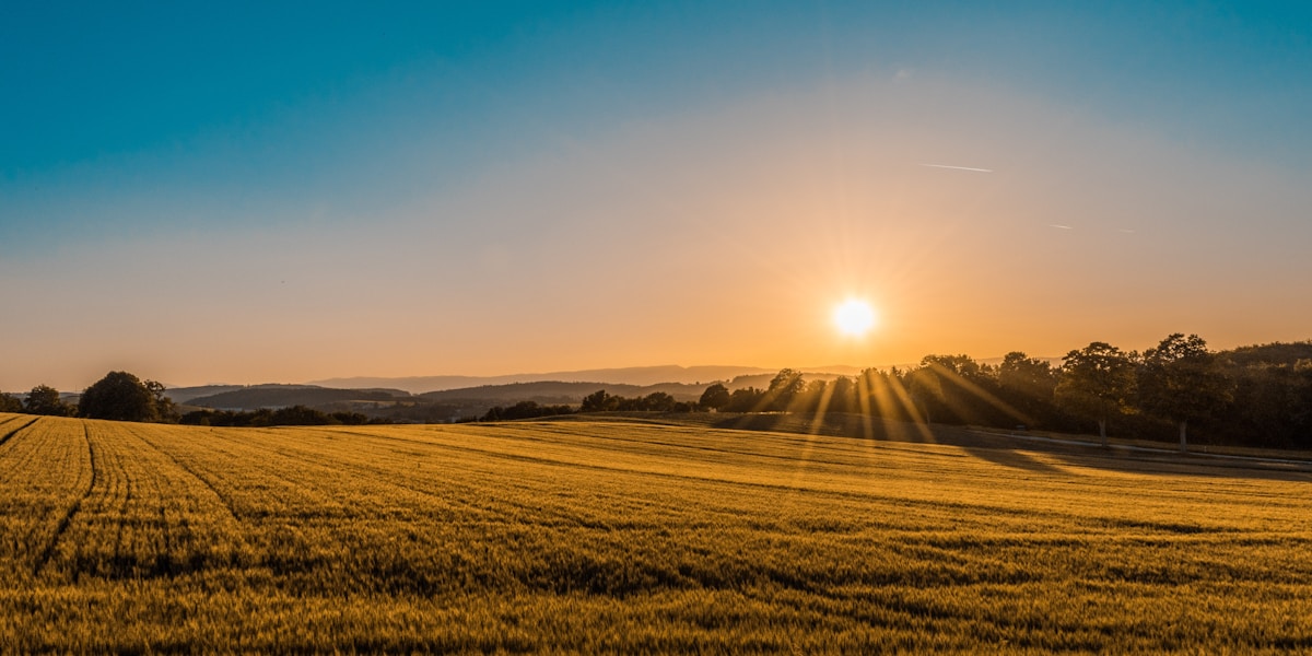 North Saanich — rolling farmland and ocean views