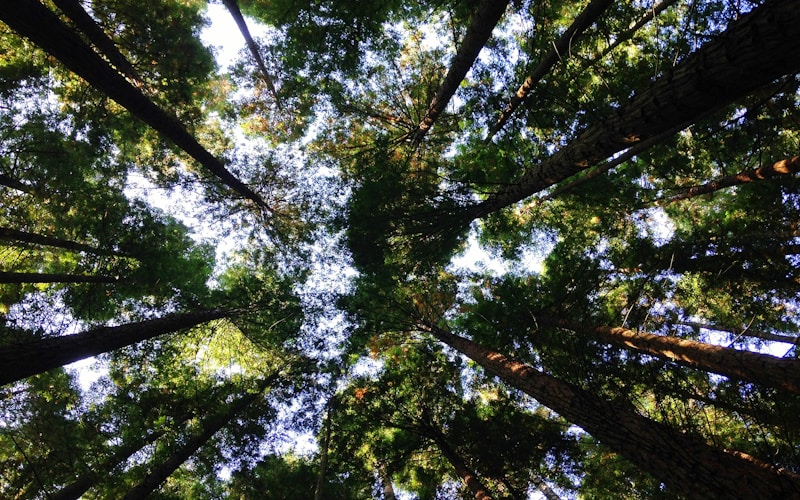 Elk/Beaver Lake Regional Park, Saanich